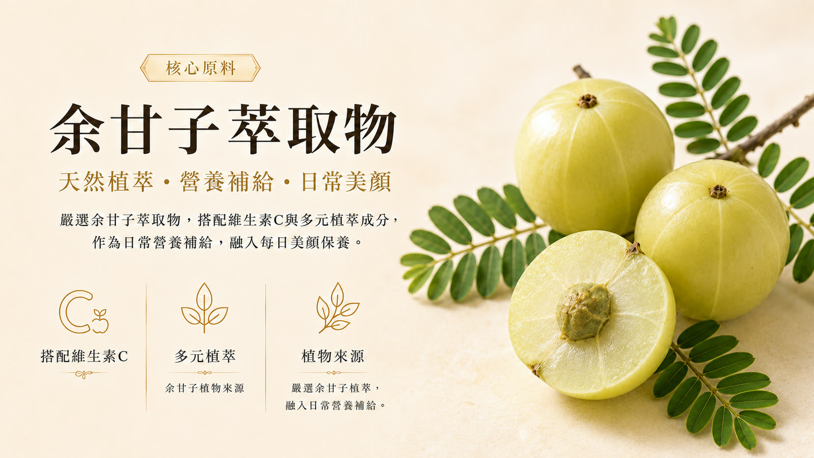 專利余甘子C膠囊 產品介紹 第 3 張，共 6 張