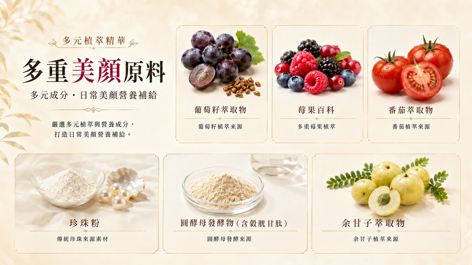 專利余甘子C膠囊 產品介紹 第 4 張，共 6 張