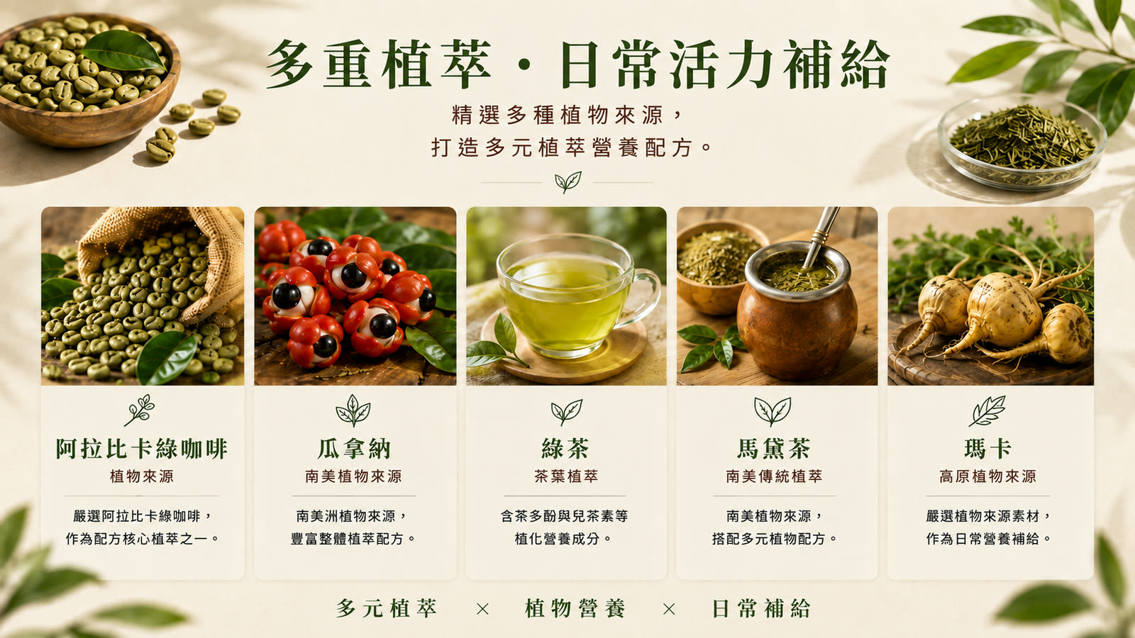 綠咖啡檸檬萃取膠囊 產品介紹 第 4 張，共 6 張