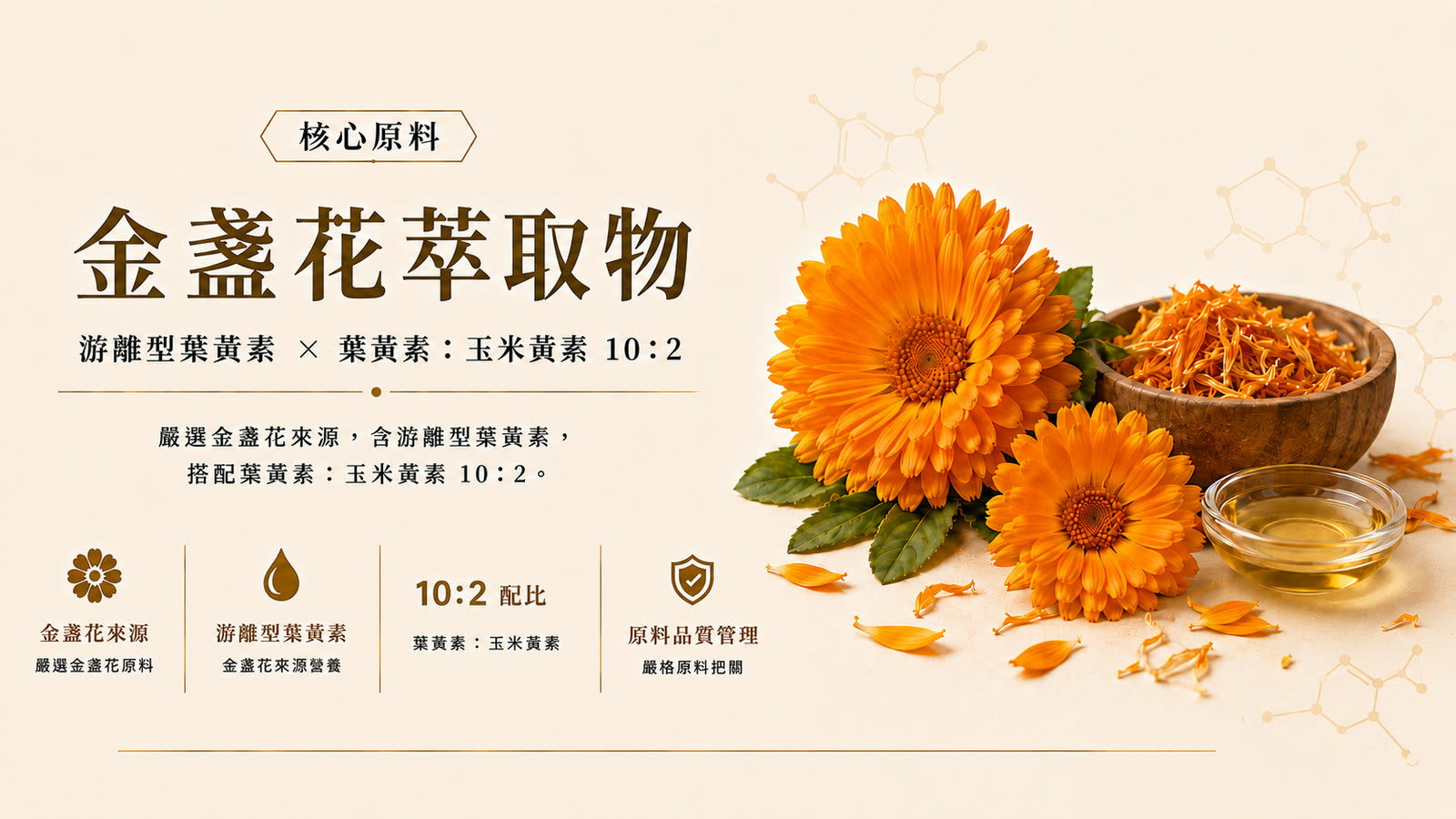 葉黃素軟膠囊 產品介紹 第 3 張，共 6 張